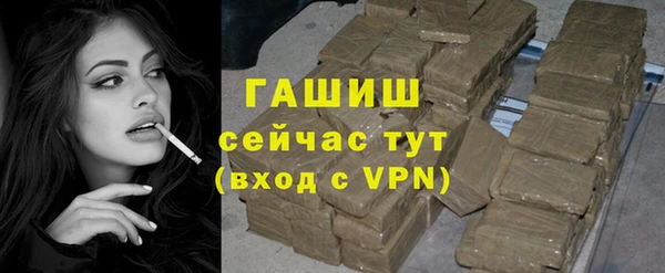 хмурый Арсеньев