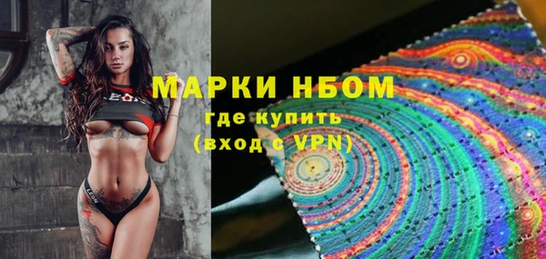 хмурый Арсеньев