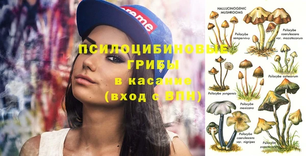 хмурый Арсеньев