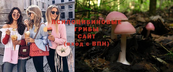 хмурый Арсеньев