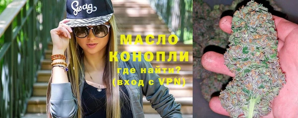 хмурый Арсеньев