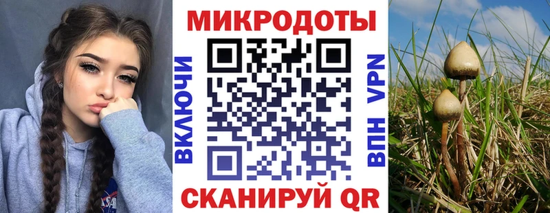 Галлюциногенные грибы мухоморы  mega вход  Колпашево 