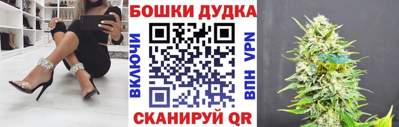 как найти   Колпашево  это телеграм  Канабис OG Kush 